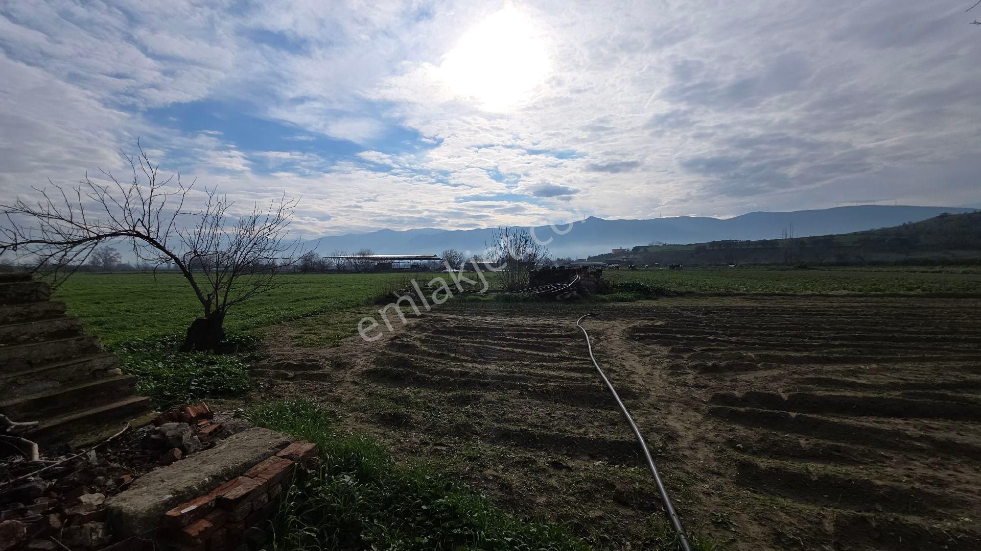 Ali Akdoğan Emlak Ofisinden Satılıktır - Görsel 17