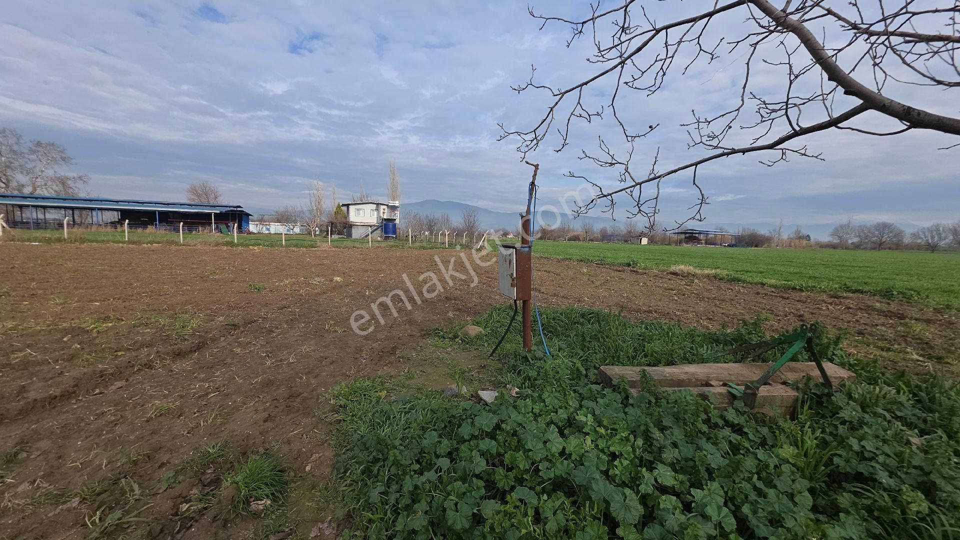 Ali Akdoğan Emlak Ofisinden Satılıktır - Görsel 3