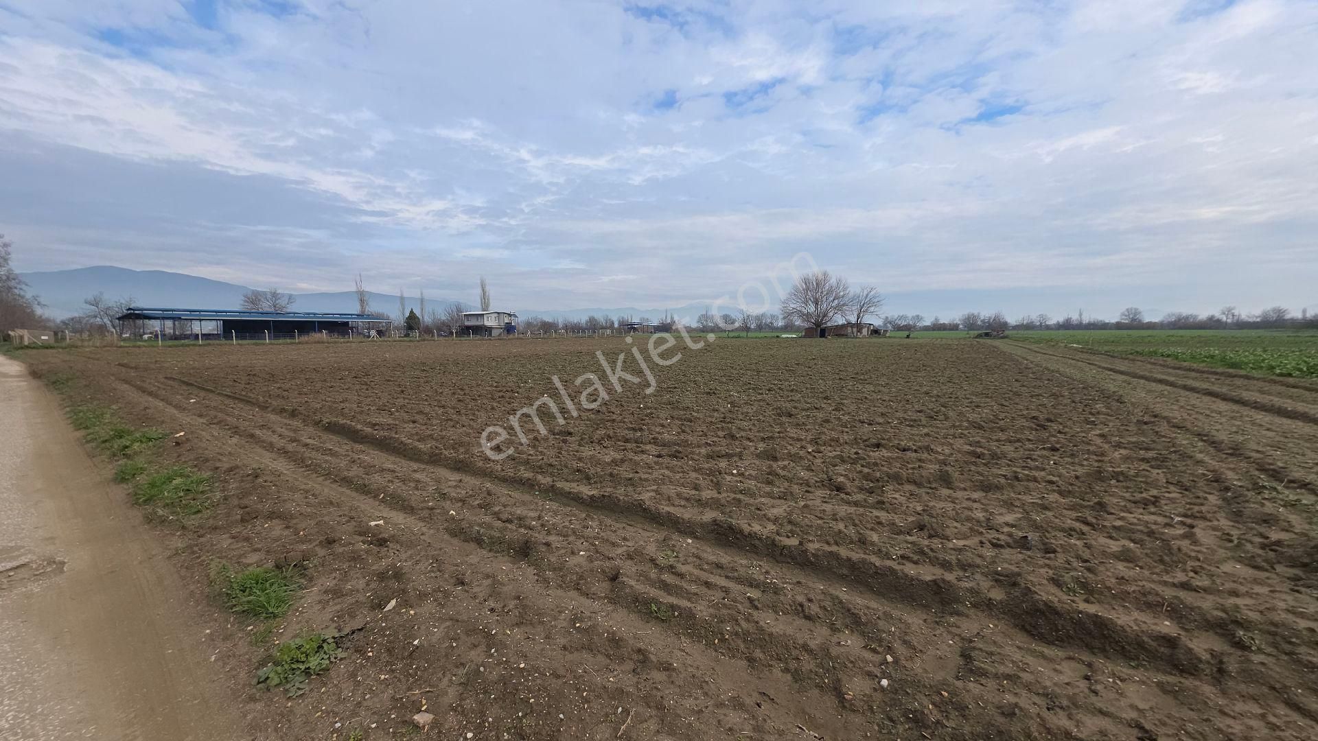 Ali Akdoğan Emlak Ofisinden Satılıktır - Görsel 35