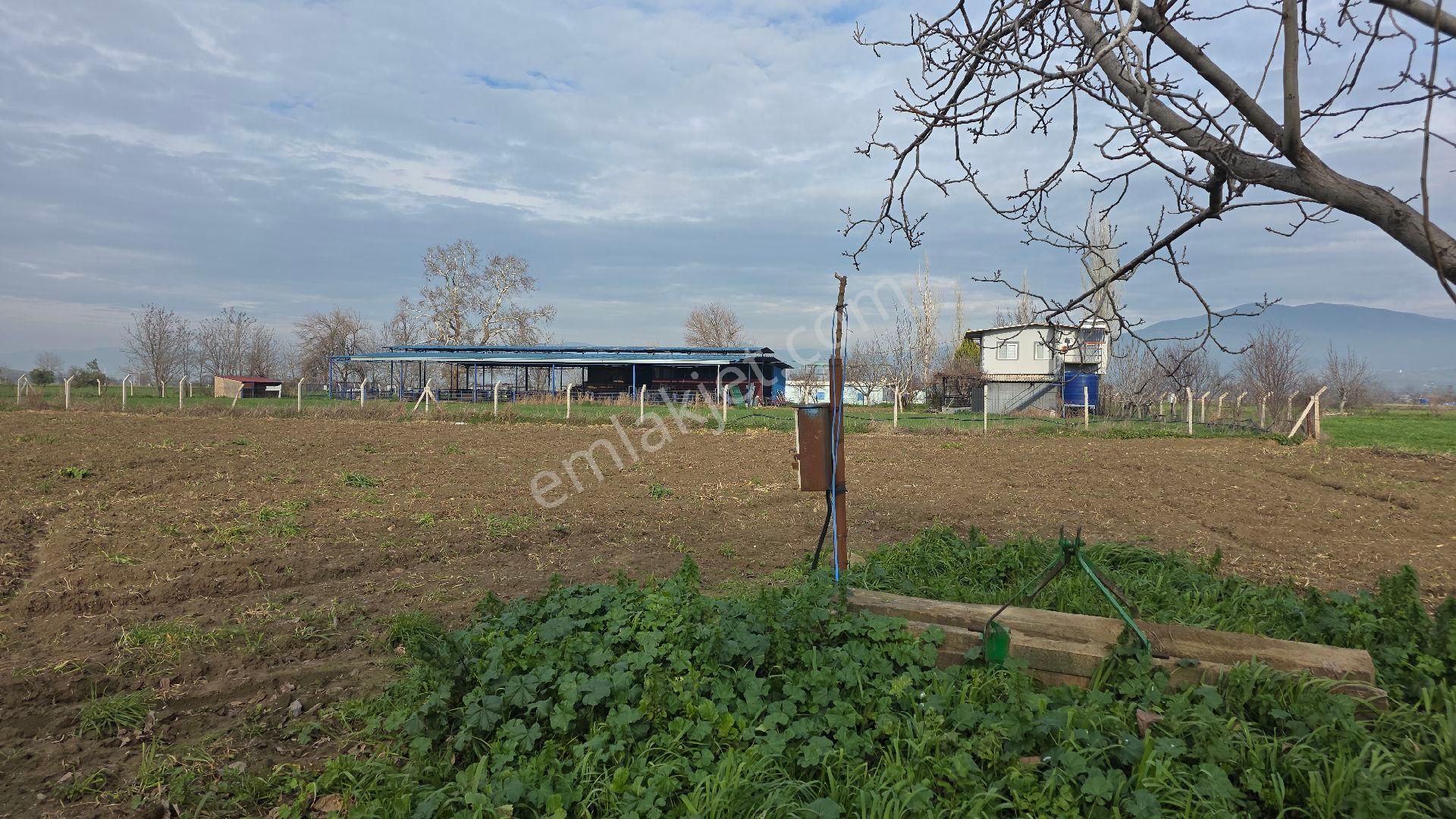 Ali Akdoğan Emlak Ofisinden Satılıktır - Görsel 13