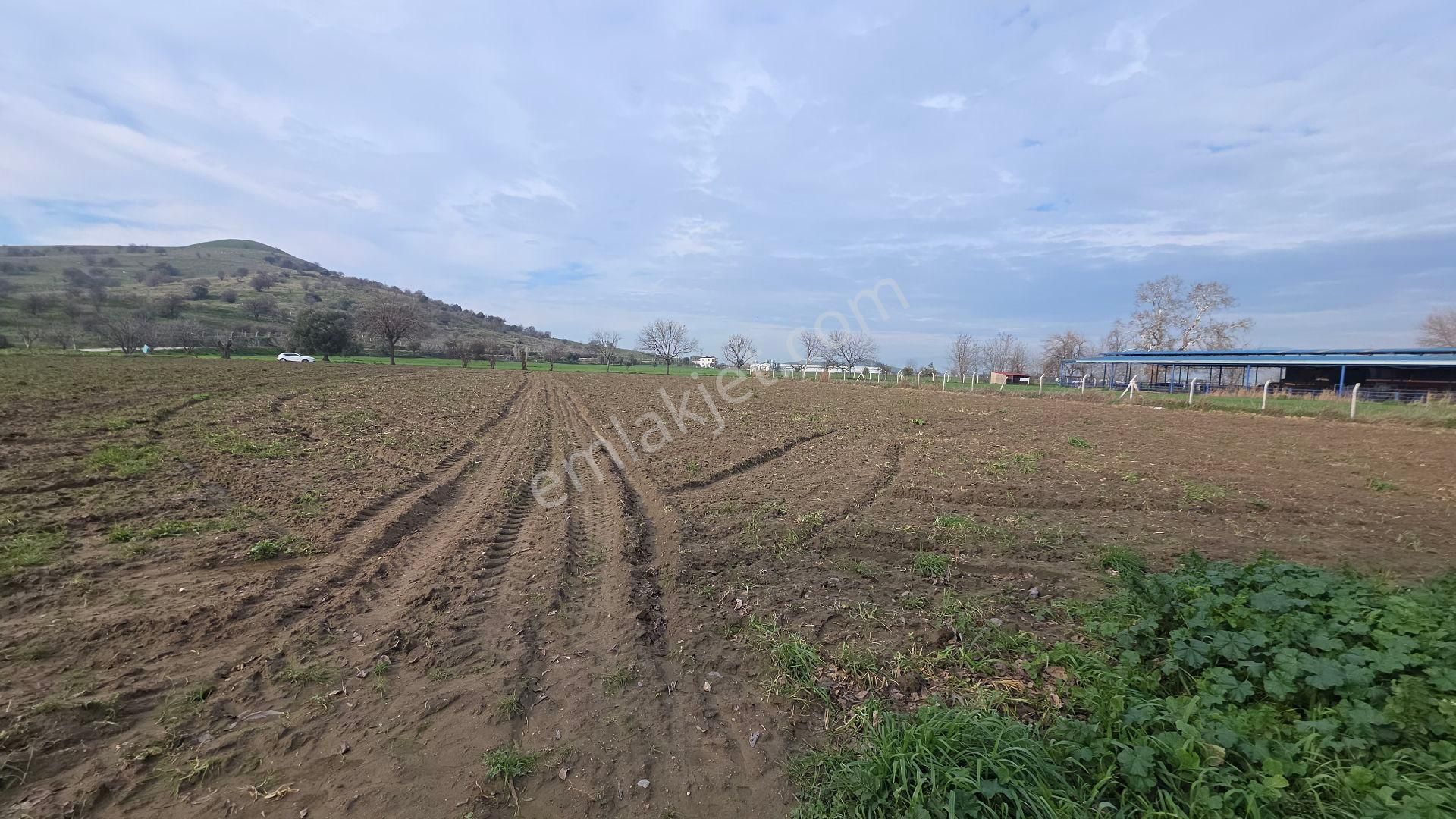 Ali Akdoğan Emlak Ofisinden Satılıktır - Görsel 6