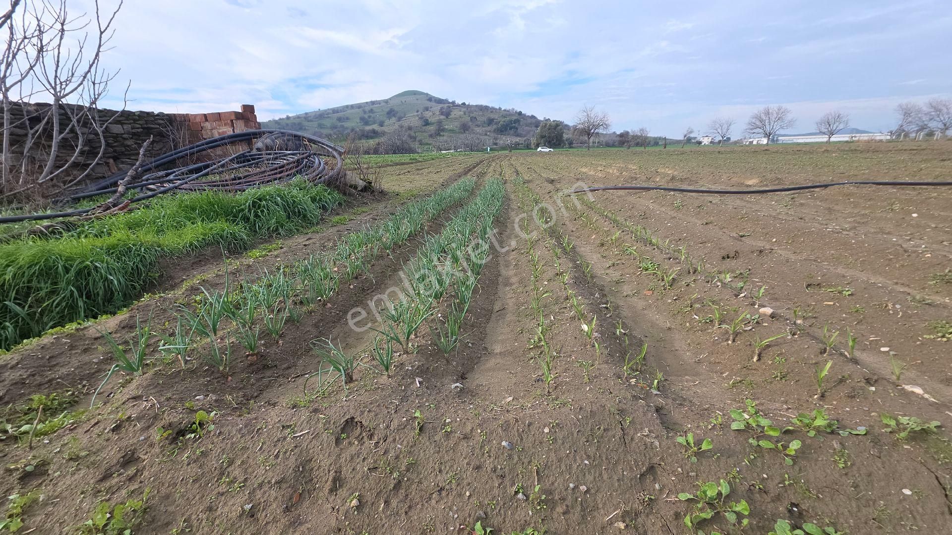 Ali Akdoğan Emlak Ofisinden Satılıktır - Görsel 18