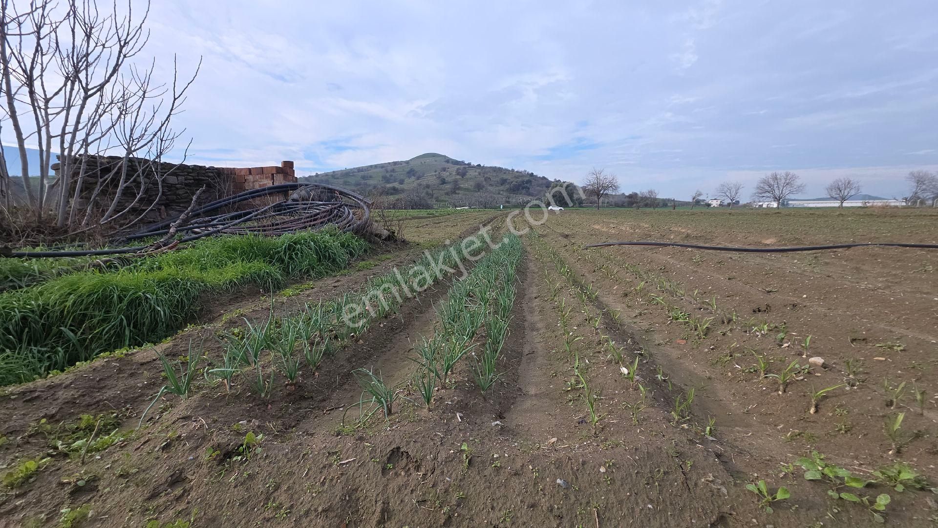 Ali Akdoğan Emlak Ofisinden Satılıktır - Görsel 22
