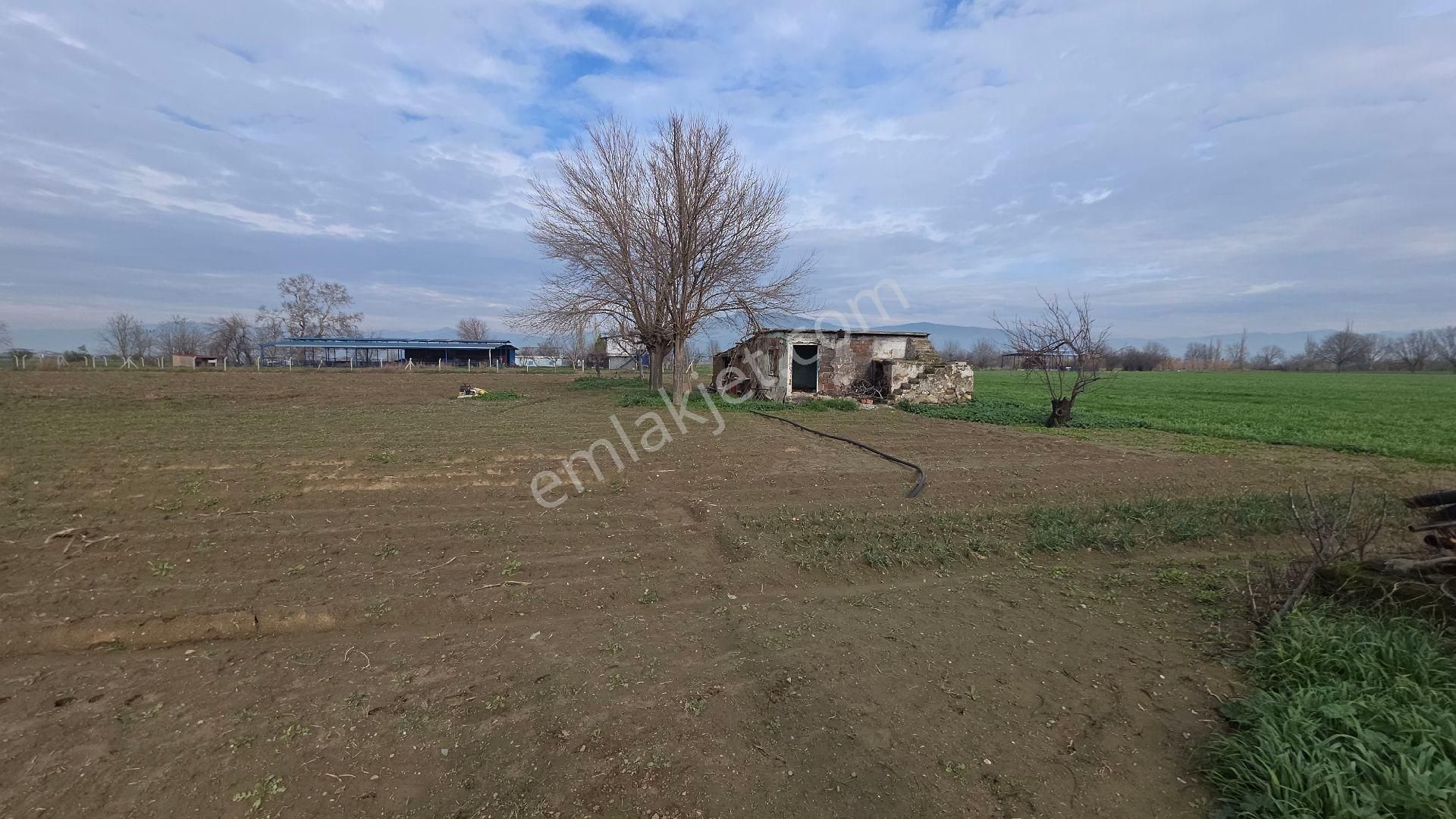 Ali Akdoğan Emlak Ofisinden Satılıktır - Görsel 24