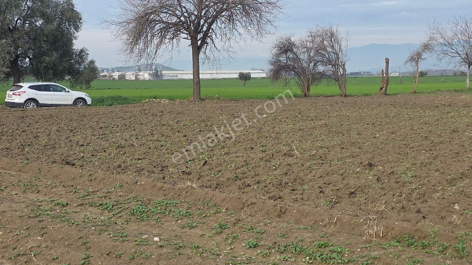 Ali Akdoğan Emlak Ofisinden Satılıktır - Görsel 29