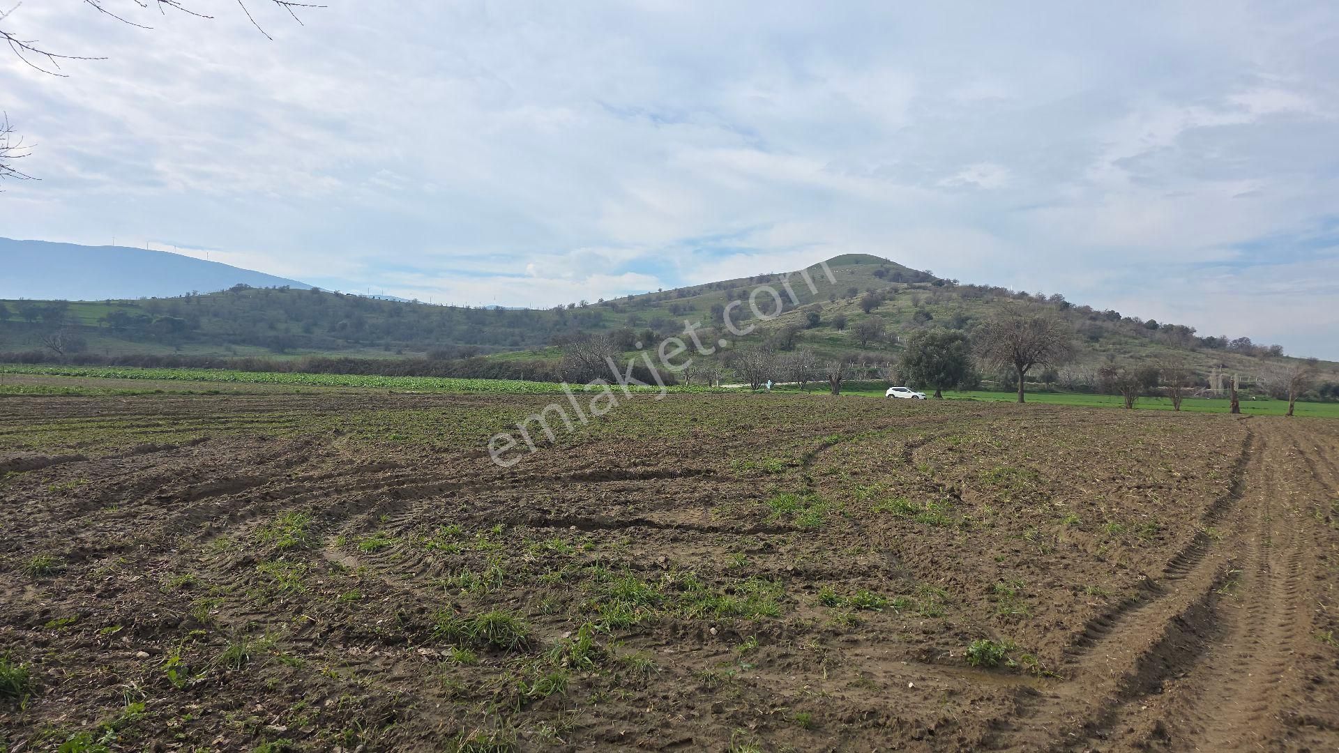 Ali Akdoğan Emlak Ofisinden Satılıktır - Görsel 9