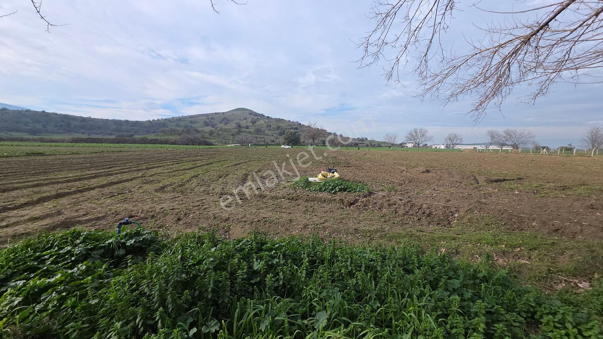 Ali Akdoğan Emlak Ofisinden Satılıktır - Görsel 16