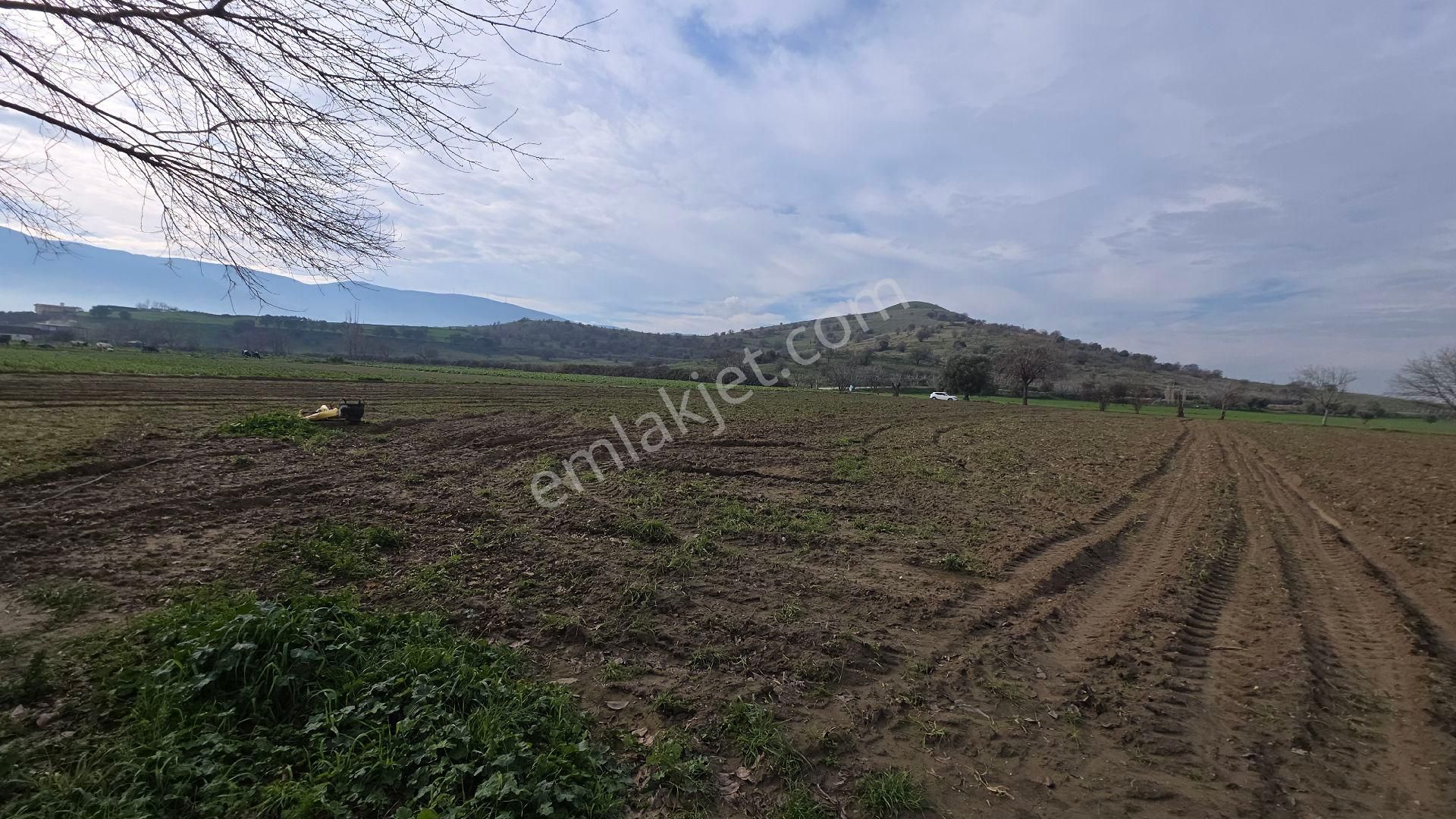 Ali Akdoğan Emlak Ofisinden Satılıktır - Görsel 5