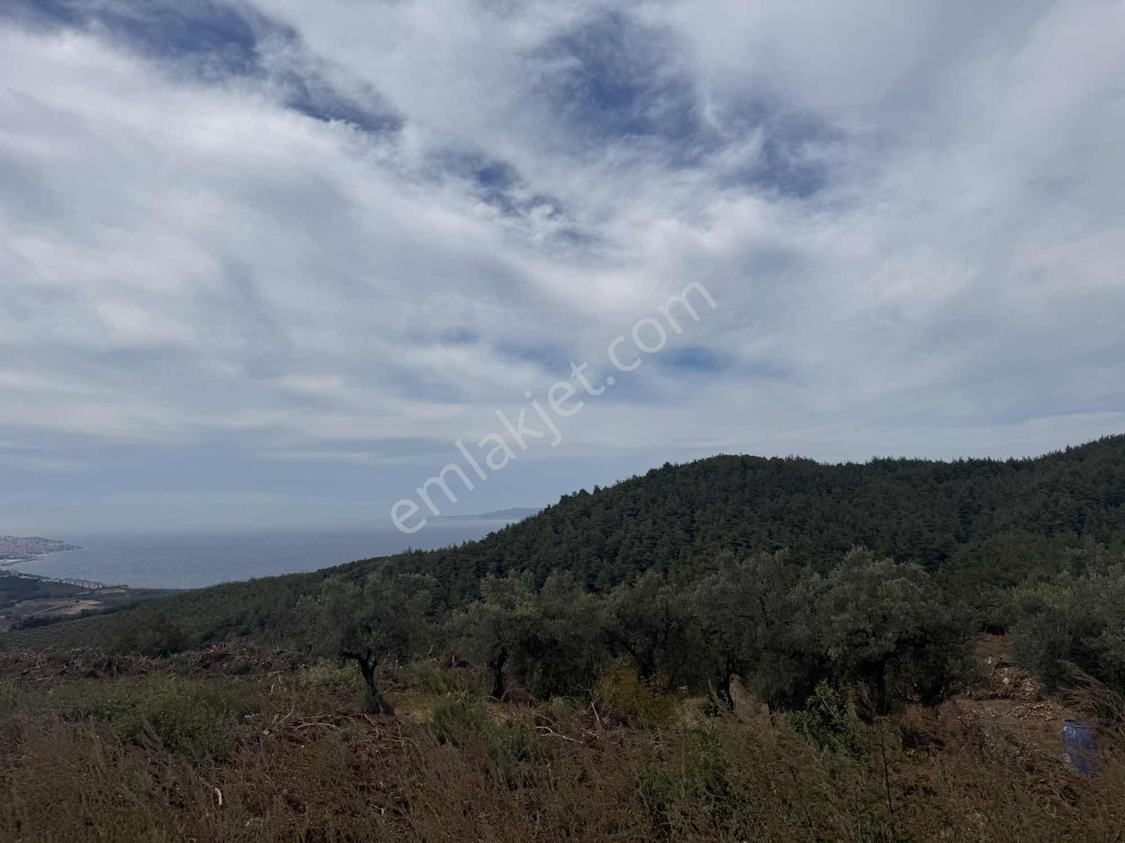 Osmangazi Gündoğduda Deniz Manzaralı 566 M² Hisseli Arazi - Görsel 3