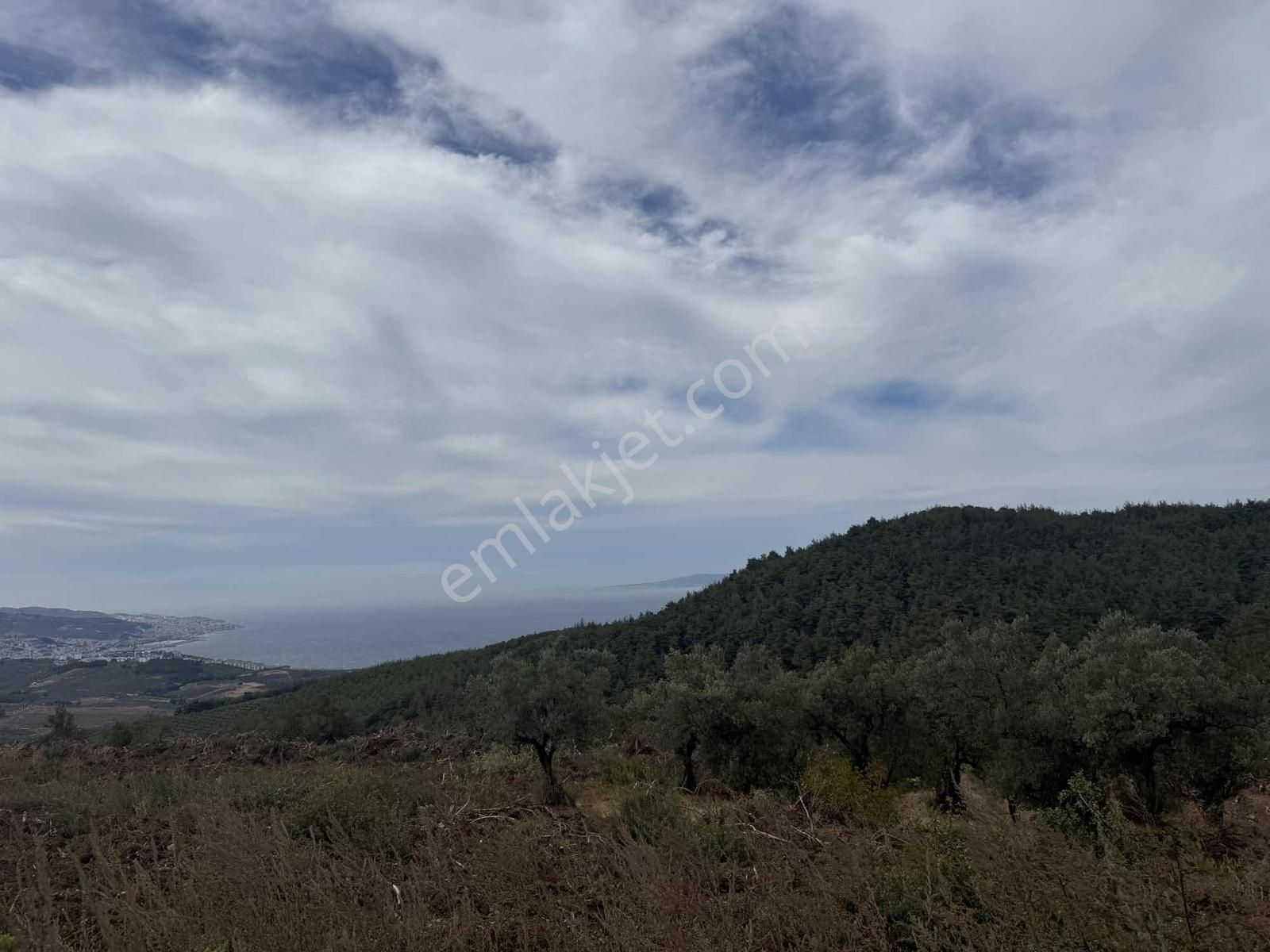 Osmangazi Gündoğduda Deniz Manzaralı 566 M² Hisseli Arazi - Görsel 4