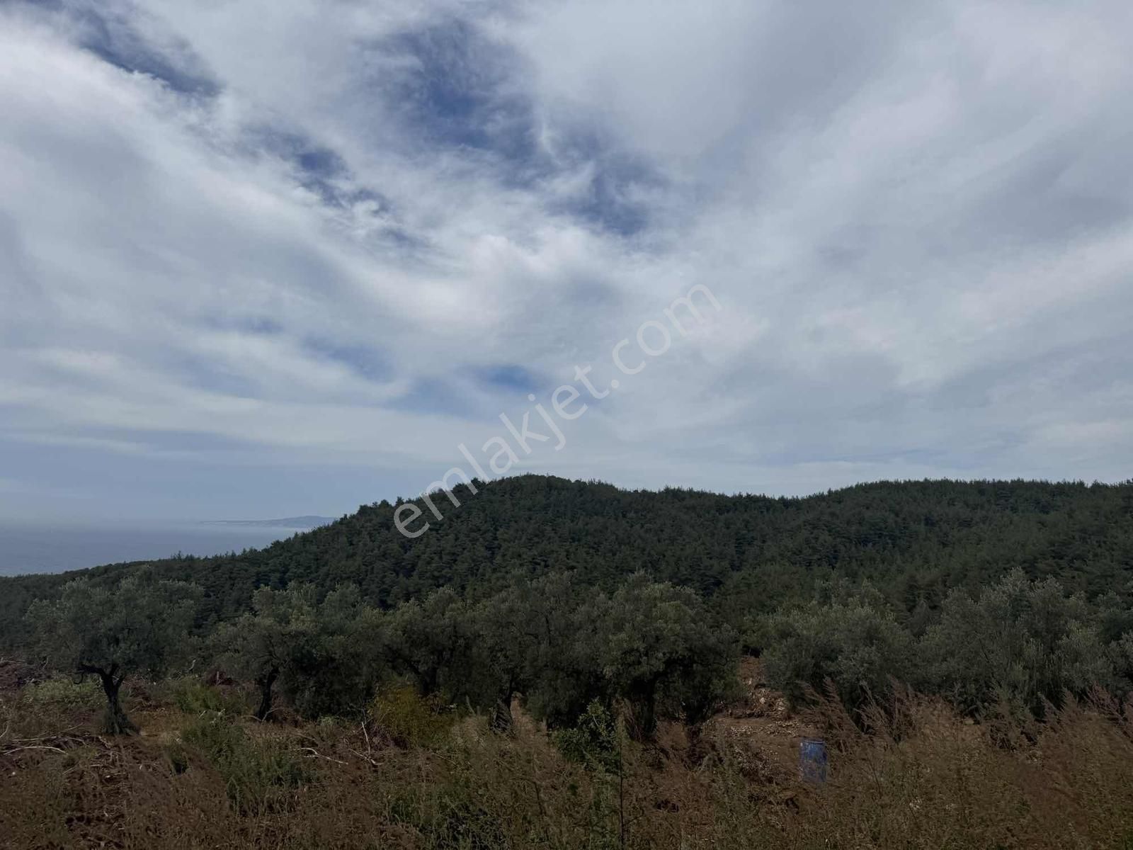Osmangazi Gündoğduda Deniz Manzaralı 566 M² Hisseli Arazi - Görsel 2