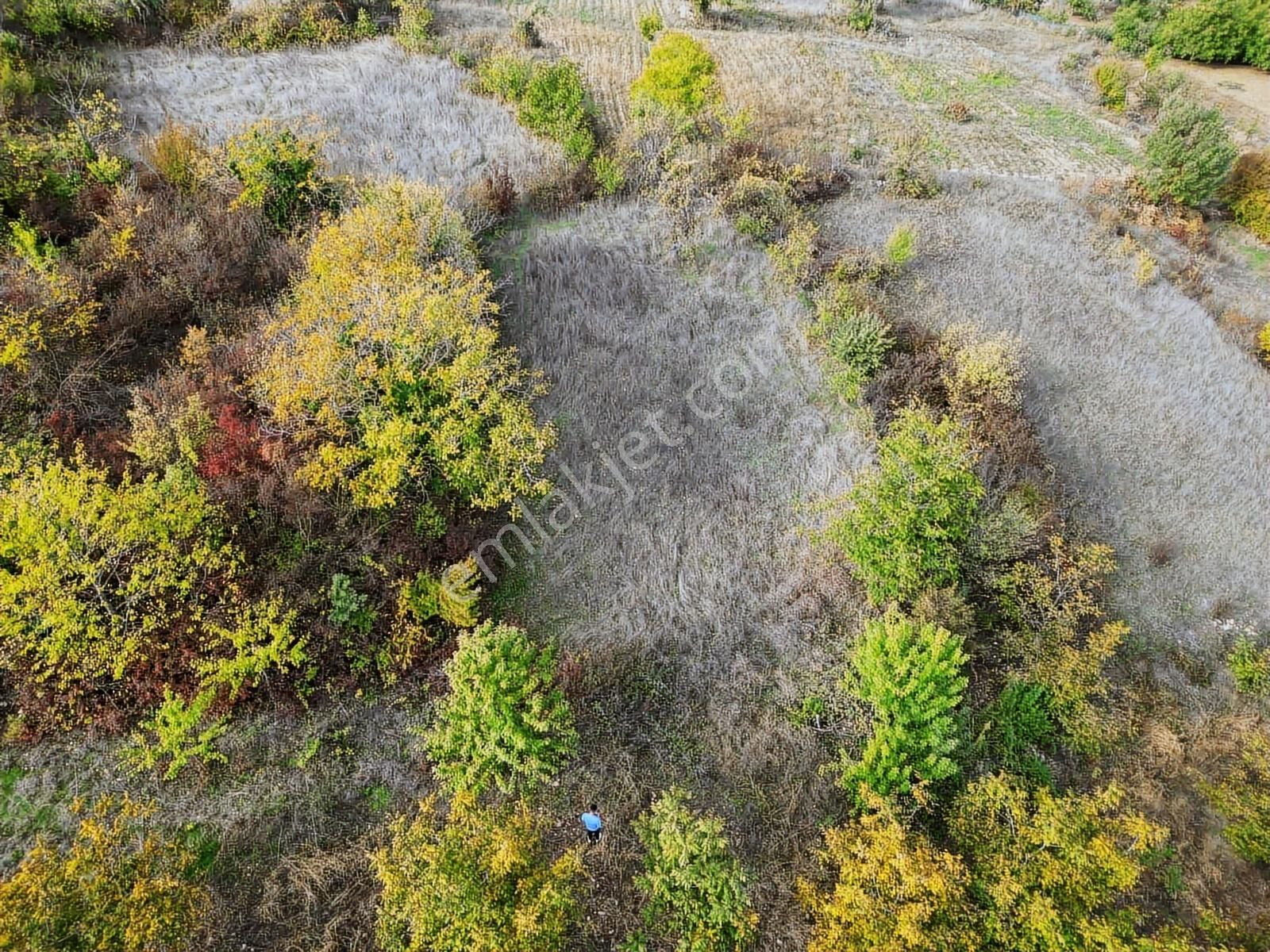 Yenişehir Gökçesuda 929 M2 Köye 200 Mt Mesafede Satılık Bahçe - Görsel 6