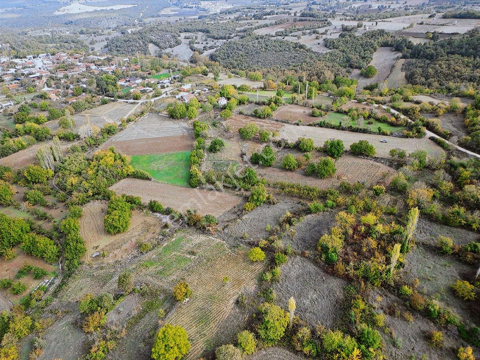 Yenişehir Gökçesuda 929 M2 Köye 200 Mt Mesafede Satılık Bahçe - Görsel 2