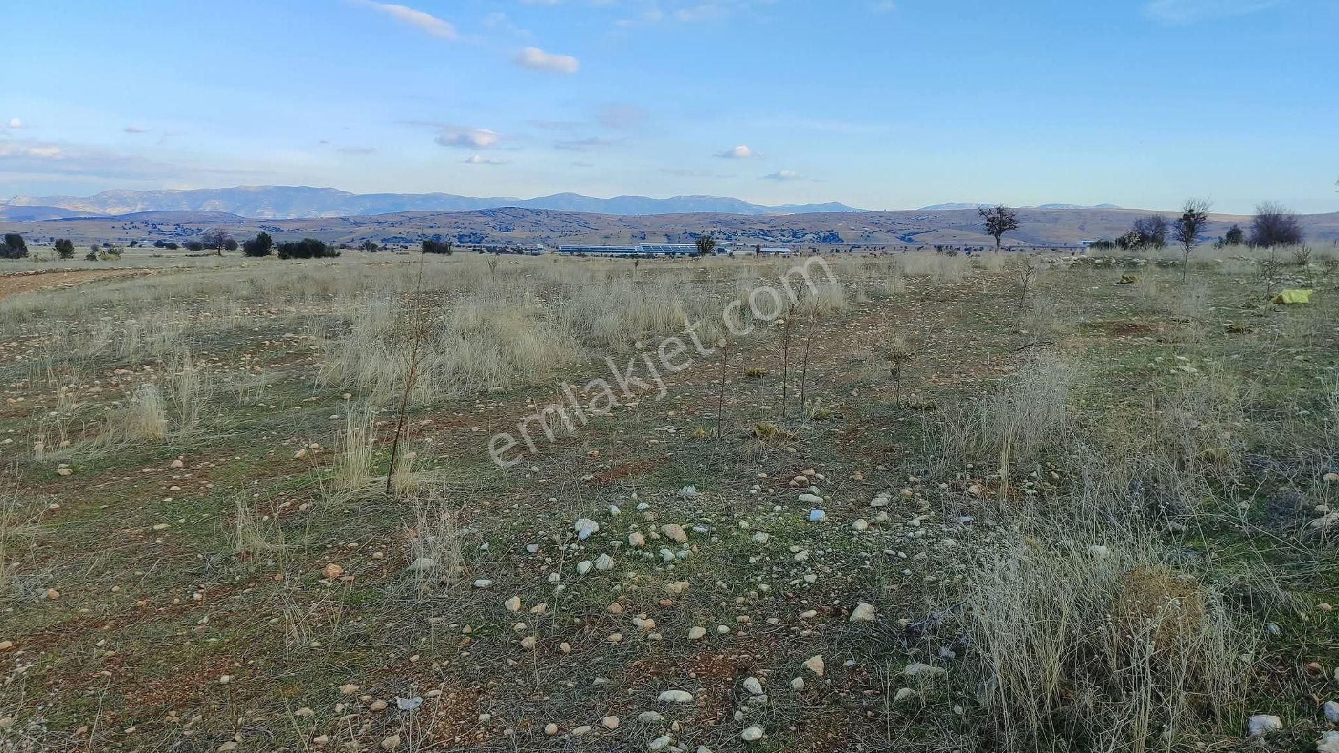 ✅korkuteli✅kevzer De ✅satılık 3.857m2 Tarla - Görsel 6