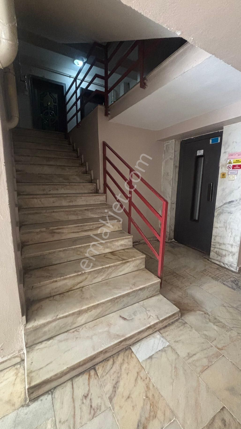 Serdivan Mavi Durak 3+1 - Görsel 21