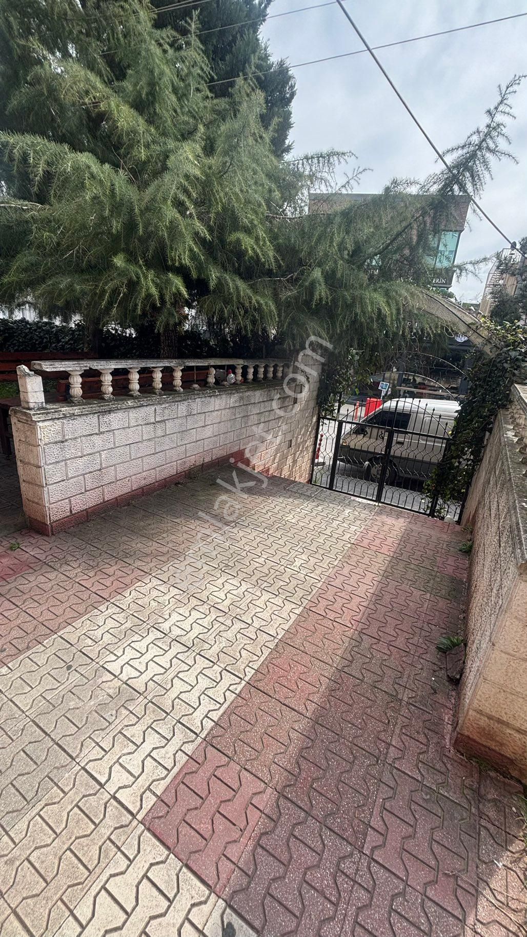 Serdivan Mavi Durak 3+1 - Görsel 22