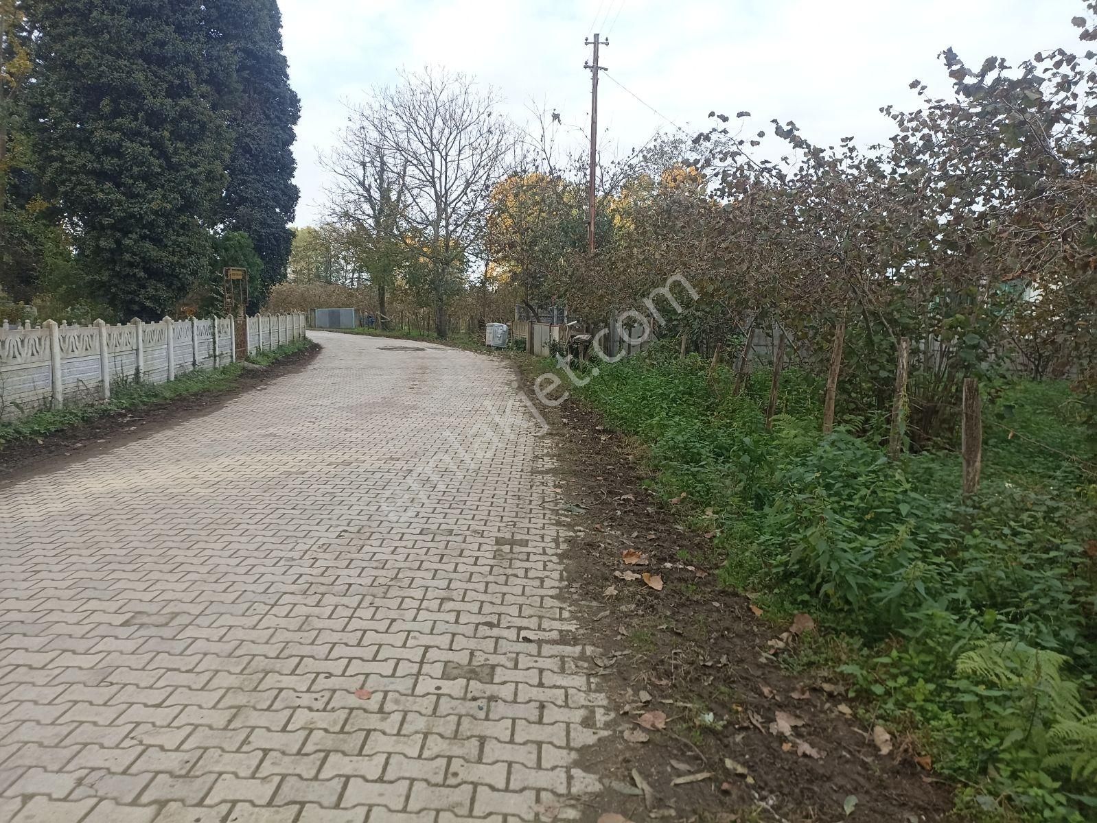 Müstakil Tapulu, Sakarlı Merkez - Görsel 5