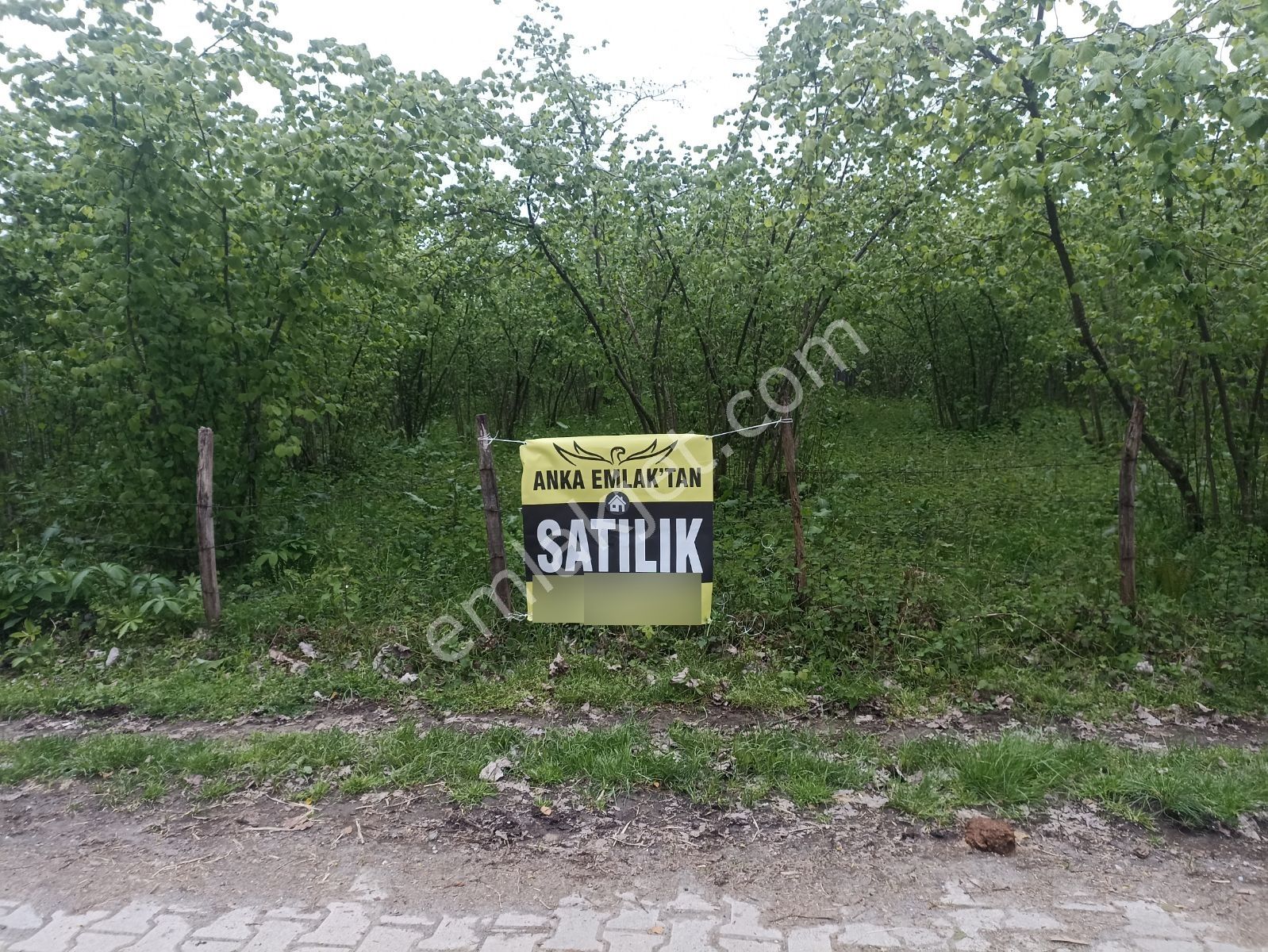 Müstakil Tapulu, Sakarlı Merkez - Görsel 4