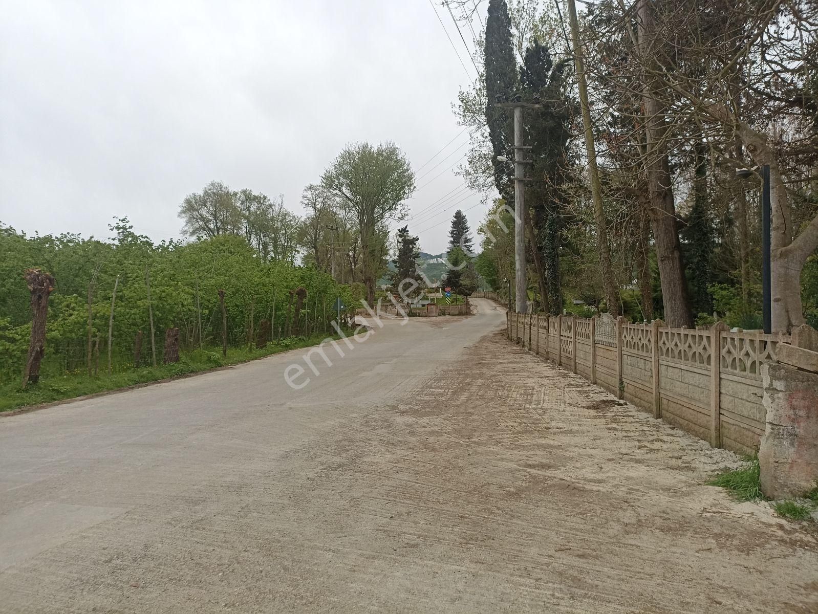 Müstakil Tapulu, Sakarlı Merkez - Görsel 20