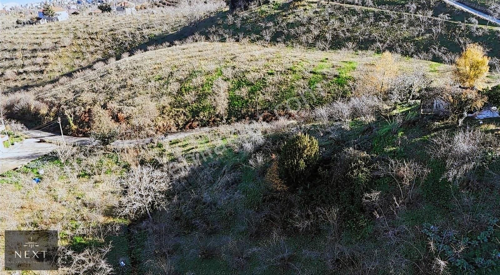 Trabzon Çimenli De Satılık Arsa - Görsel 15