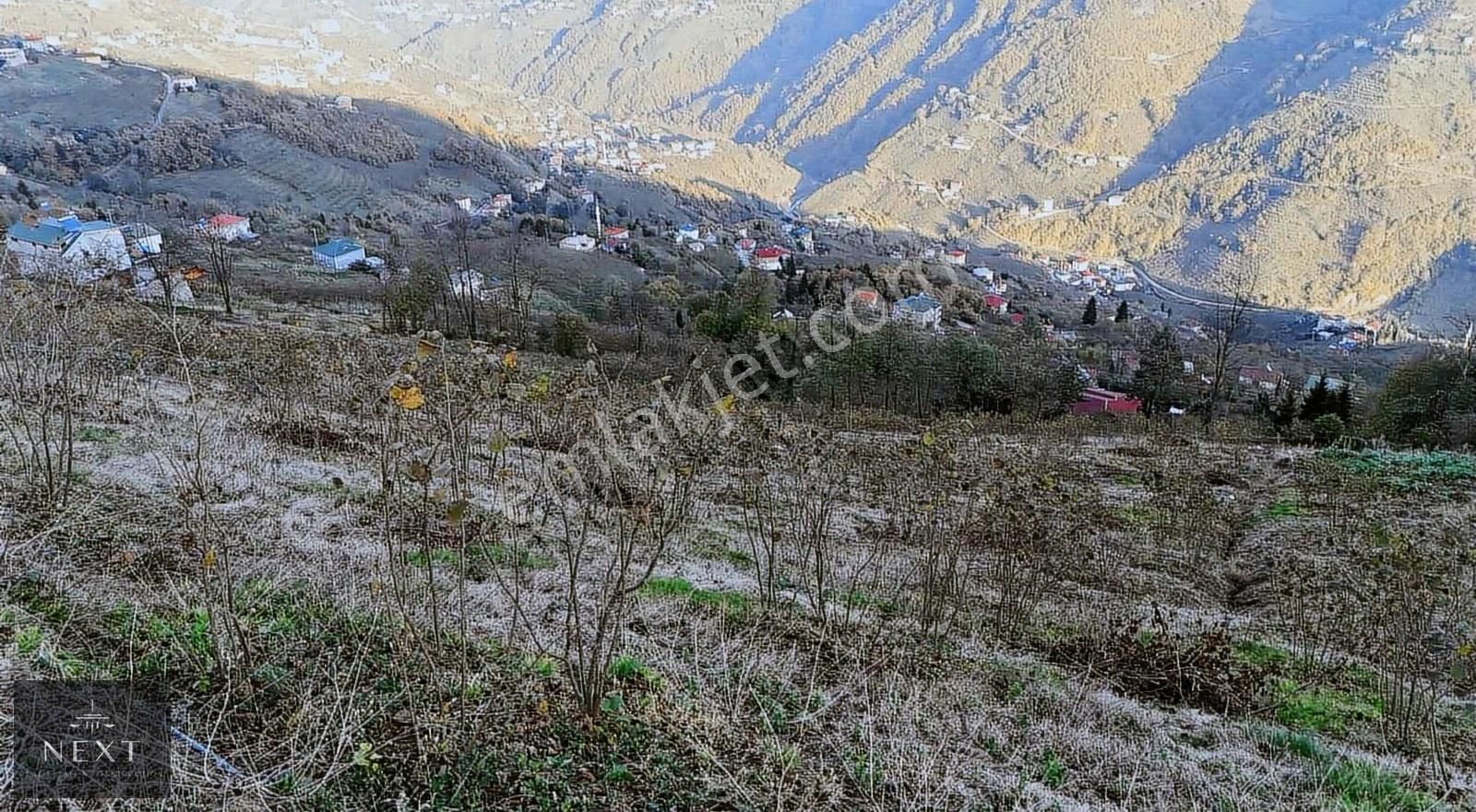 Akcaabat Dercik Fındıklı Mevkii Satılık Arsa - Görsel 15