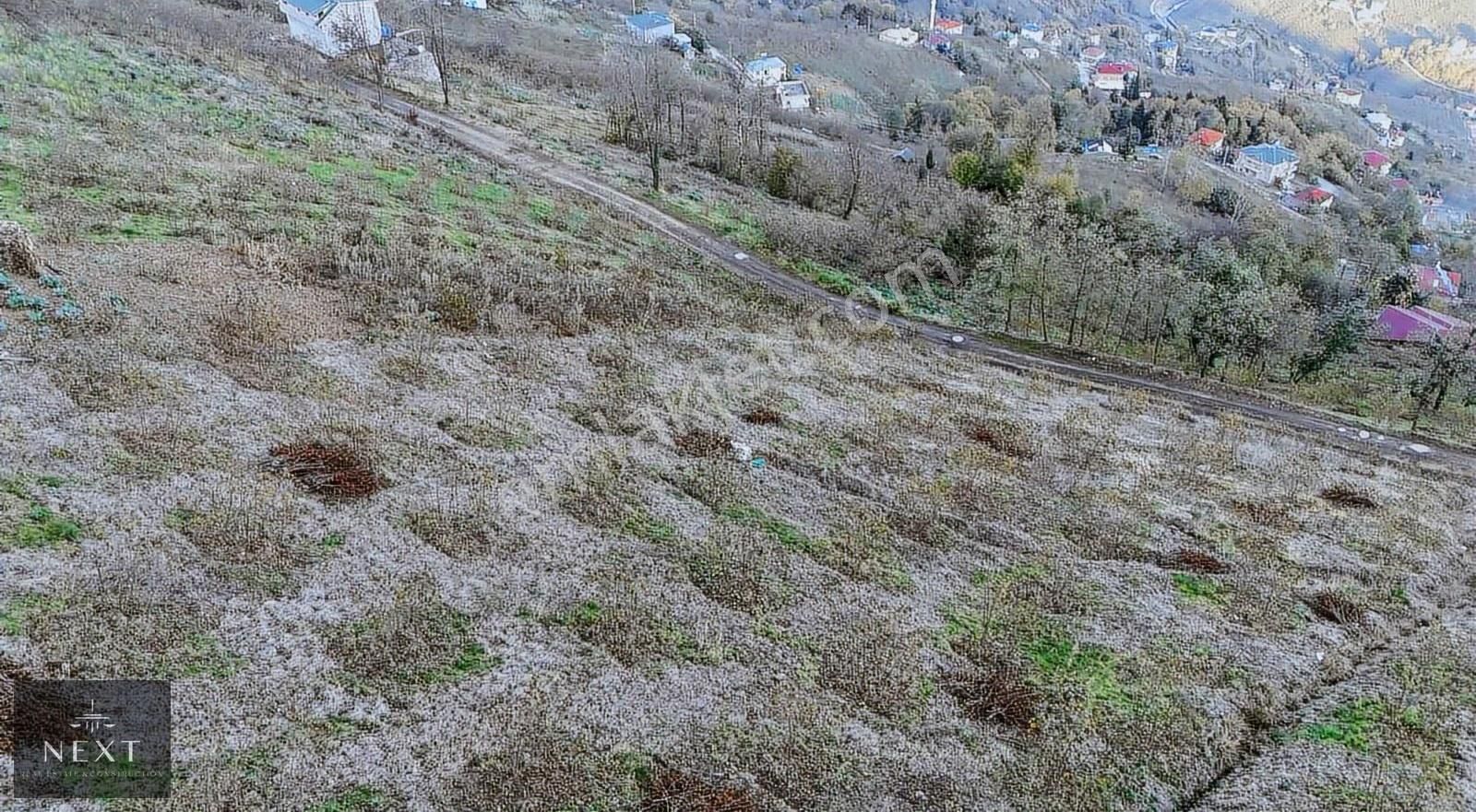 Akcaabat Dercik Fındıklı Mevkii Satılık Arsa
