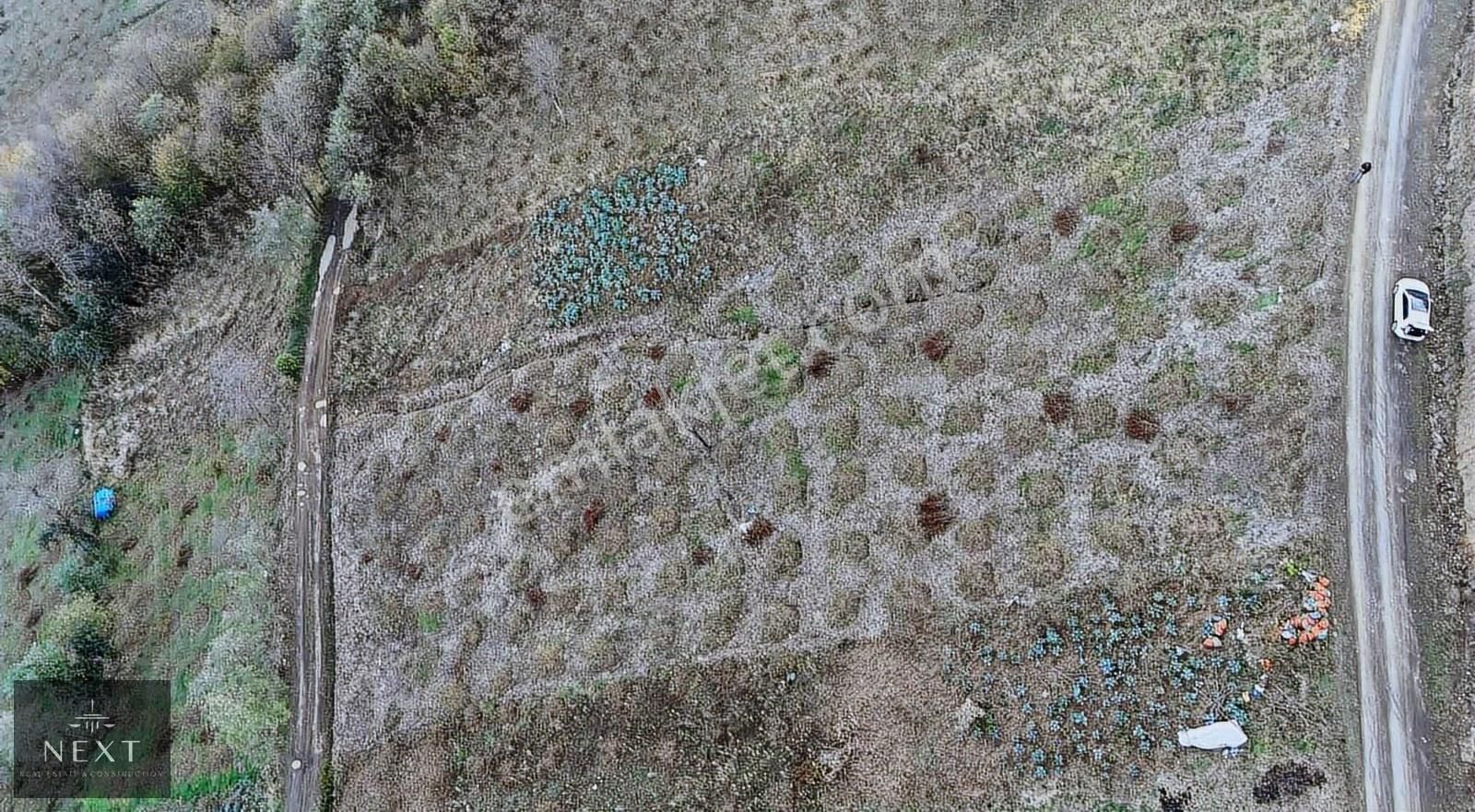 Akcaabat Dercik Fındıklı Mevkii Satılık Arsa - Görsel 8