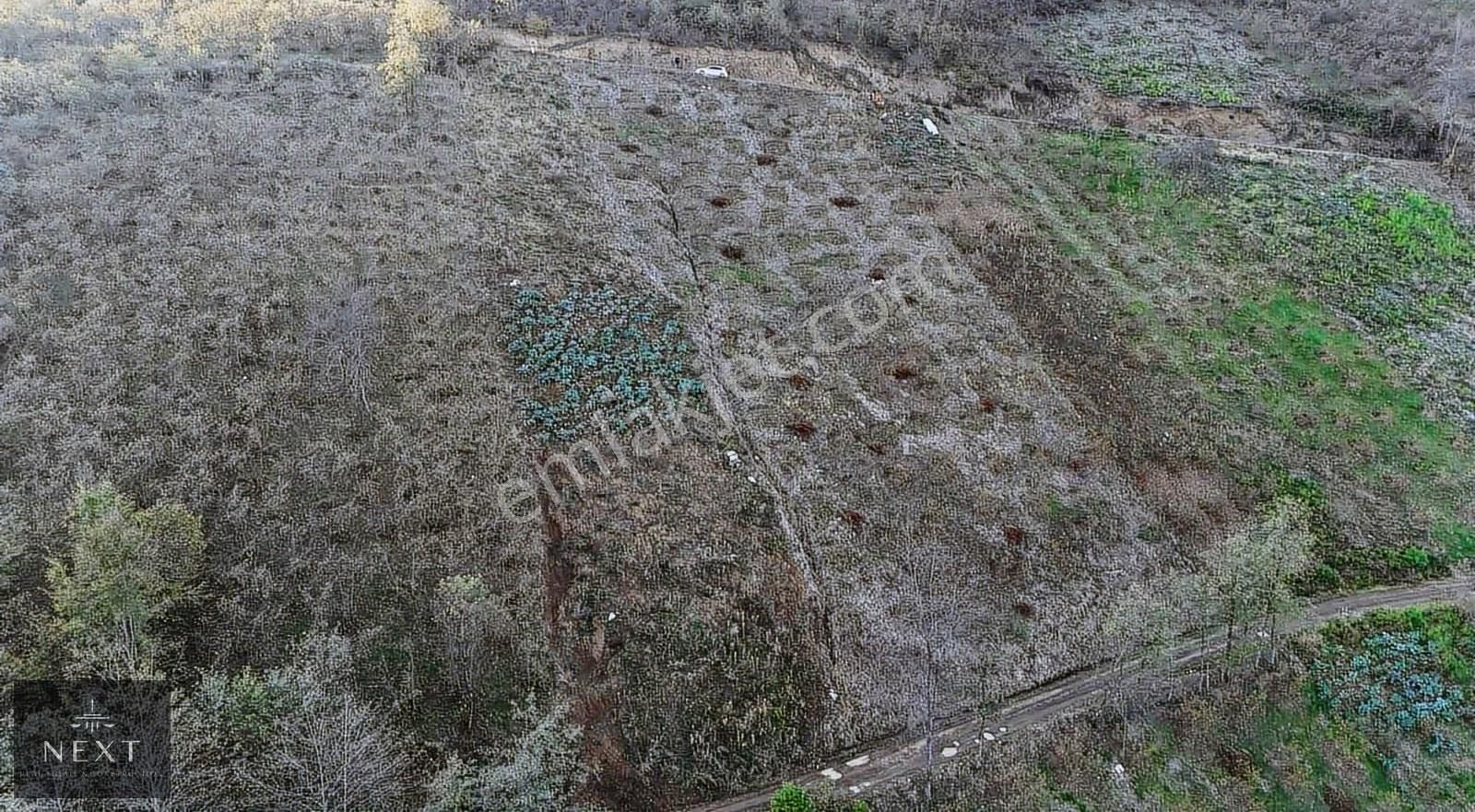 Akcaabat Dercik Fındıklı Mevkii Satılık Arsa - Görsel 7