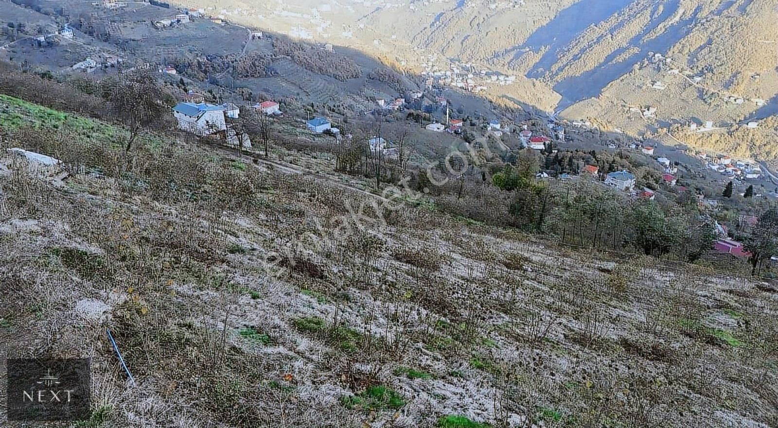 Akcaabat Dercik Fındıklı Mevkii Satılık Arsa - Görsel 2
