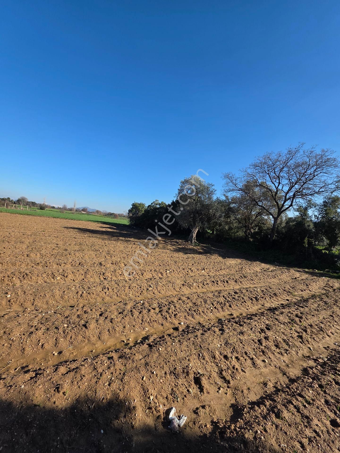 İzmir Tire Sbemlak'tan Peşrefli Mah. Yatırımlık Tarla - Görsel 7