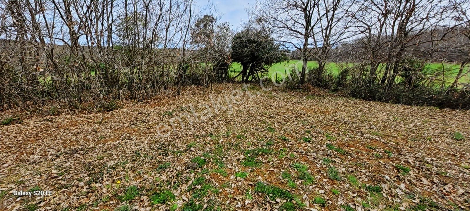 Kocaeli Kandira Cebeci De Anayola Yakın Satılık Arazi - Görsel 13