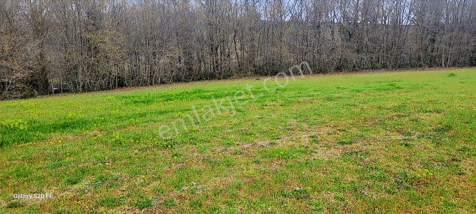 Kocaeli Kandira Cebeci De Anayola Yakın Satılık Arazi - Görsel 16