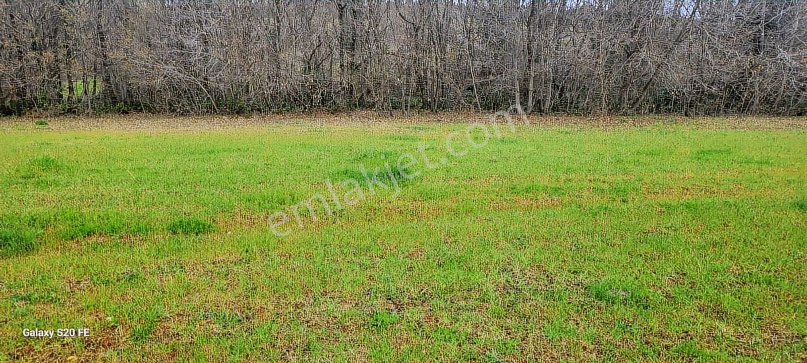 Kocaeli Kandira Cebeci De Anayola Yakın Satılık Arazi - Görsel 3