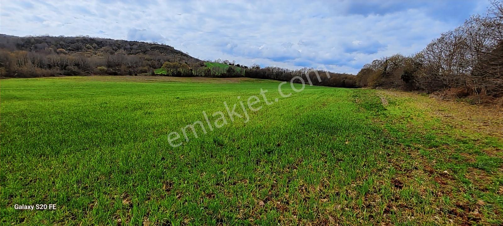 Kocaeli Kandıra Cebeci De Köye Çok Yakın Yolu Açık Satılık Arazi - Görsel 5