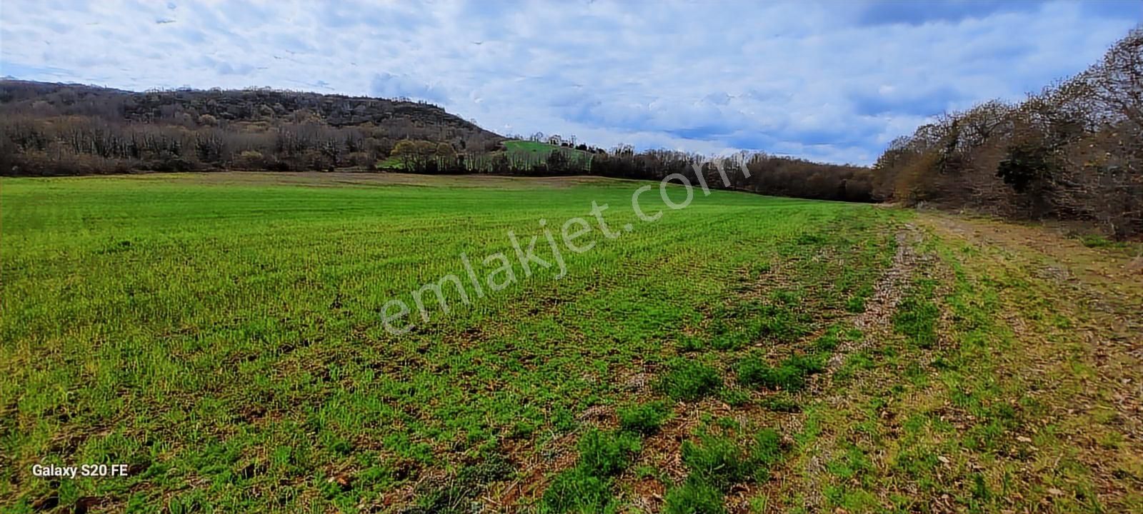 Kocaeli Kandıra Cebeci De Köye Çok Yakın Yolu Açık Satılık Arazi - Görsel 6