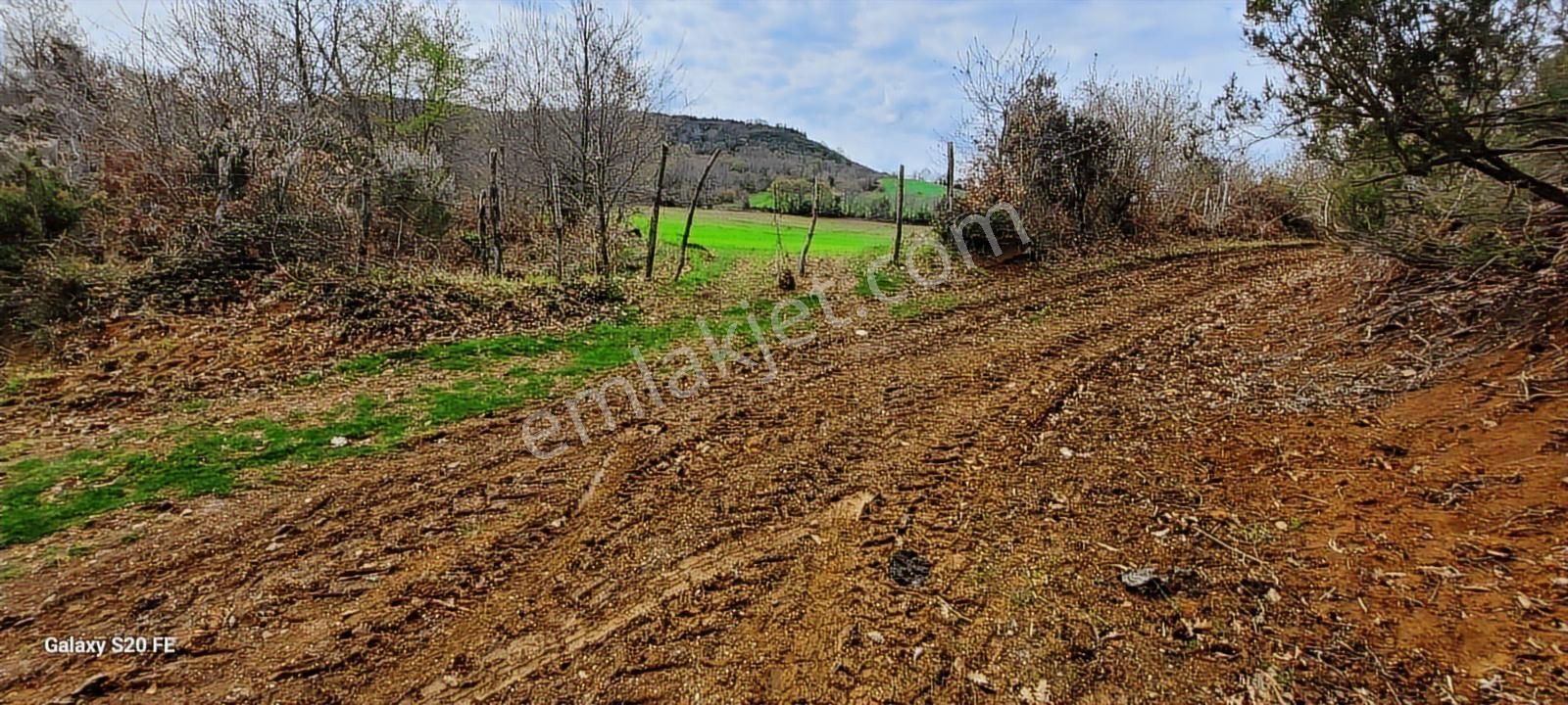 Kocaeli Kandıra Cebeci De Köye Çok Yakın Yolu Açık Satılık Arazi - Görsel 12