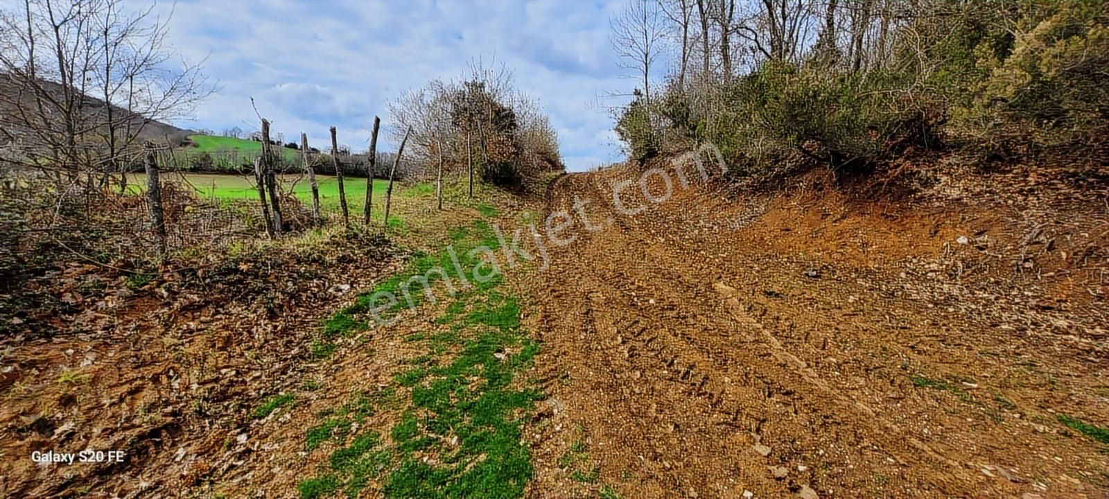 Kocaeli Kandıra Cebeci De Köye Çok Yakın Yolu Açık Satılık Arazi - Görsel 9