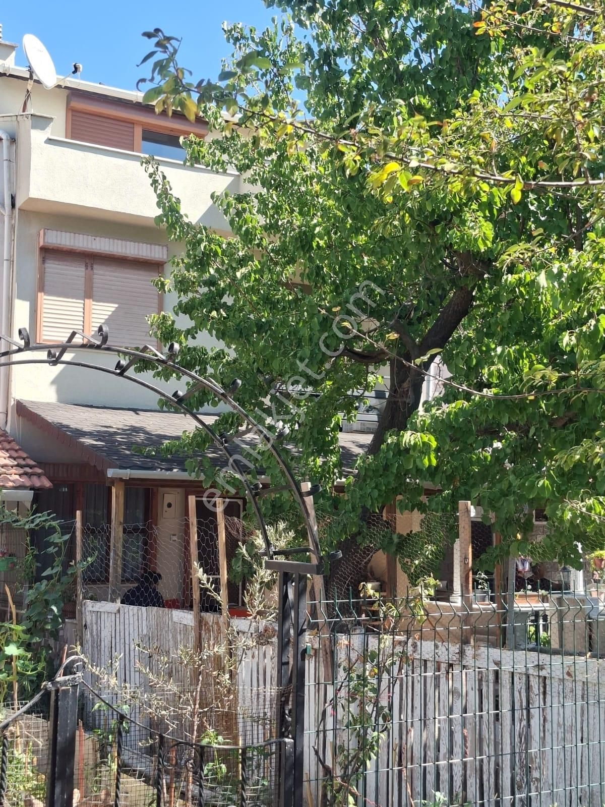 Ayvalık Altınova 3+1 Geniş Tripleks Villa Son Fırsat Fiat Düştü - Görsel 17