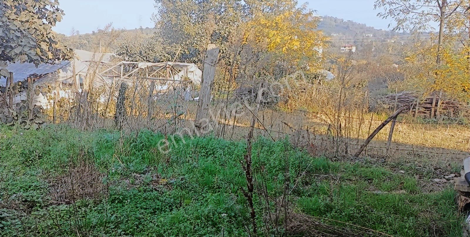 Eskipazar Mahallesinde Satılık 238 M² Arsa - Görsel 4