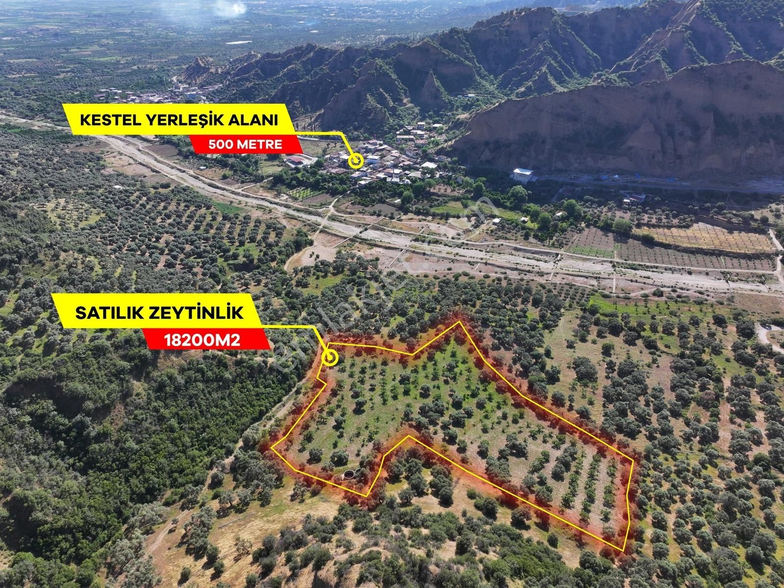 Majestic Manors - Kestelde 18200m2 Zeytin Ve İncir Bahçesi - Görsel 4
