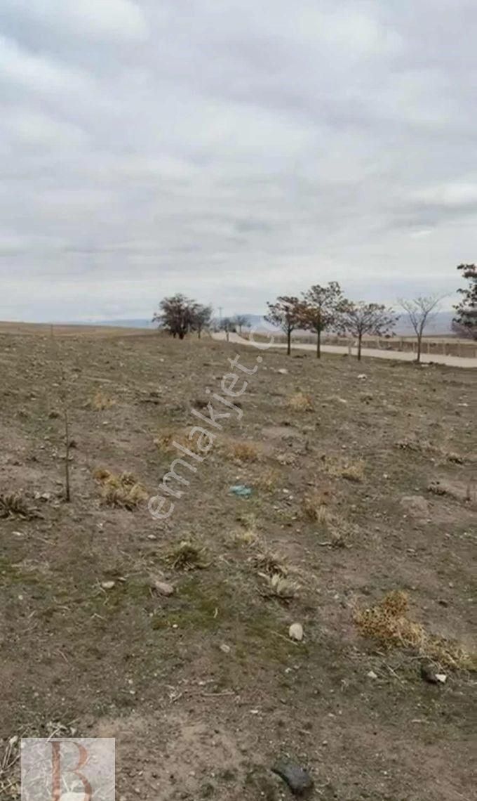 Karaali'de Yazlık Mahallesinde 6000 M2 Anayol Kenarı Tarla - Görsel 6
