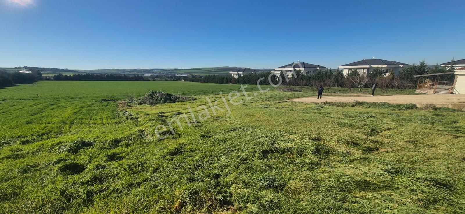 Çatalca Çakıl'da, İyi Konumda, İçinde 100 M² Yapı, %15 Yapı İzni