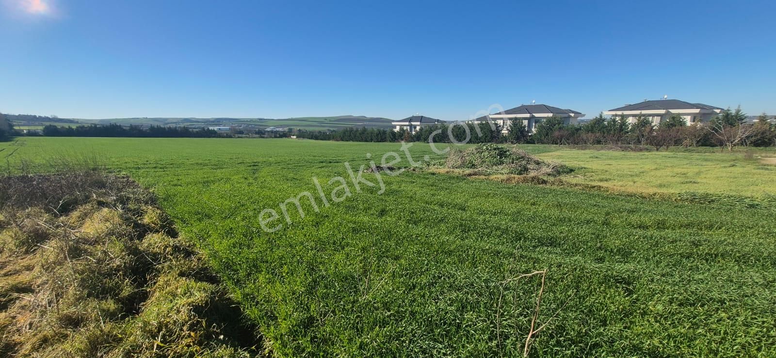 Çatalca Çakıl'da, İyi Konumda, İçinde 100 M² Yapı, %15 Yapı İzni - Görsel 4