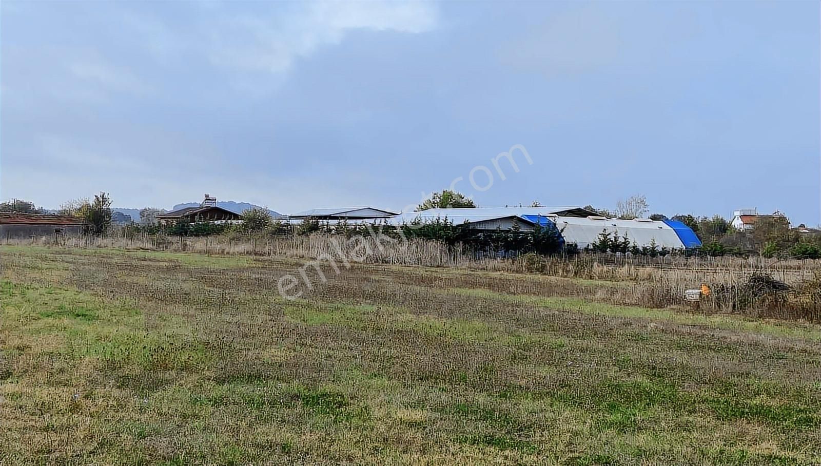 Satılık İki Katlı Çiftlik Evi, Ahırı Ve Arazisi - Görsel 20