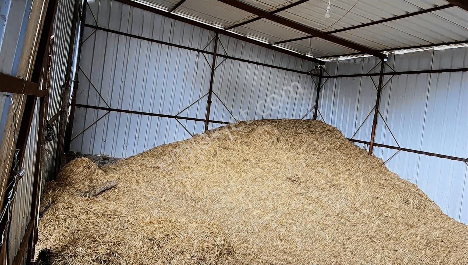 Satılık İki Katlı Çiftlik Evi, Ahırı Ve Arazisi - Görsel 31