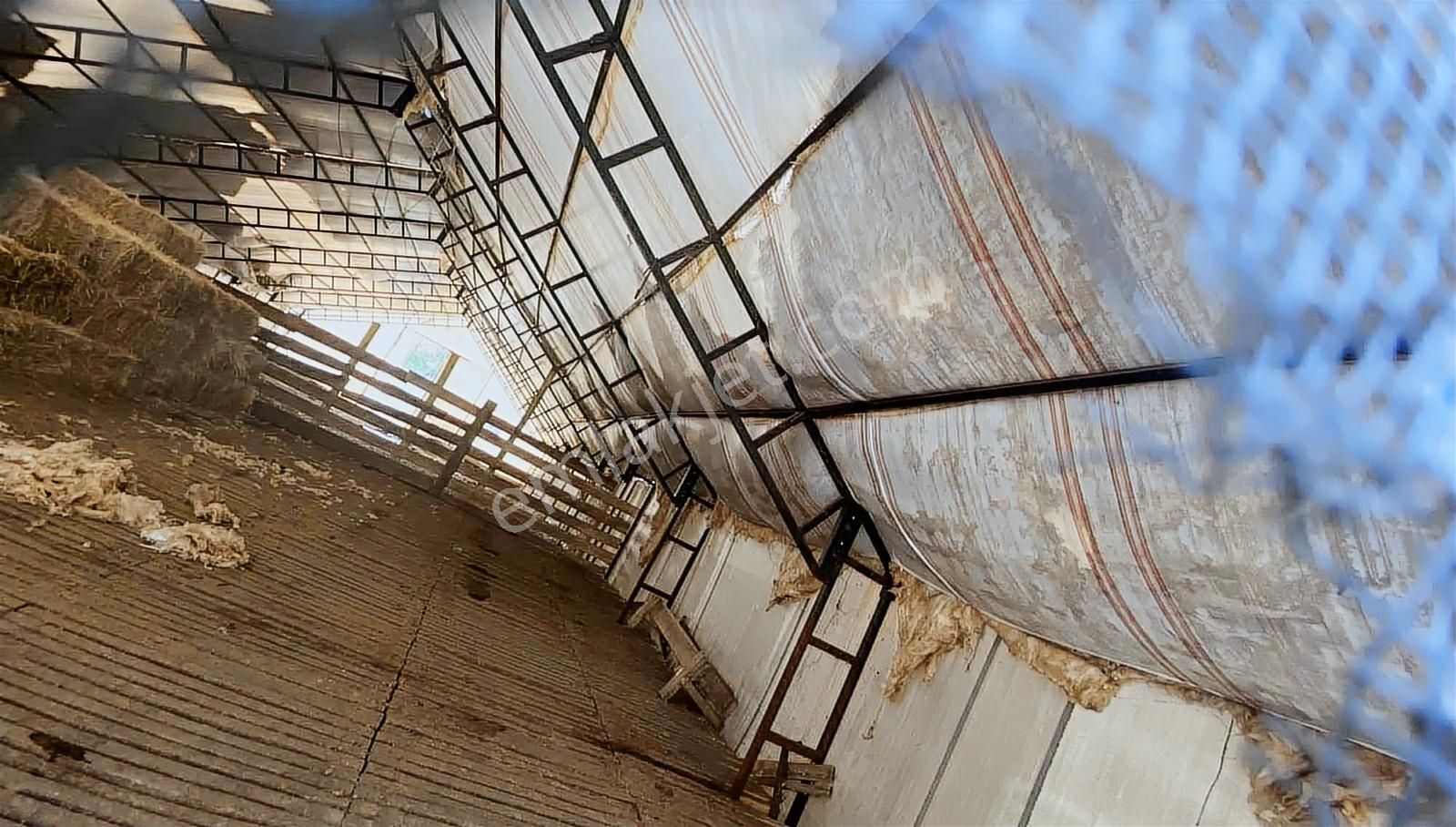 Satılık İki Katlı Çiftlik Evi, Ahırı Ve Arazisi - Görsel 23