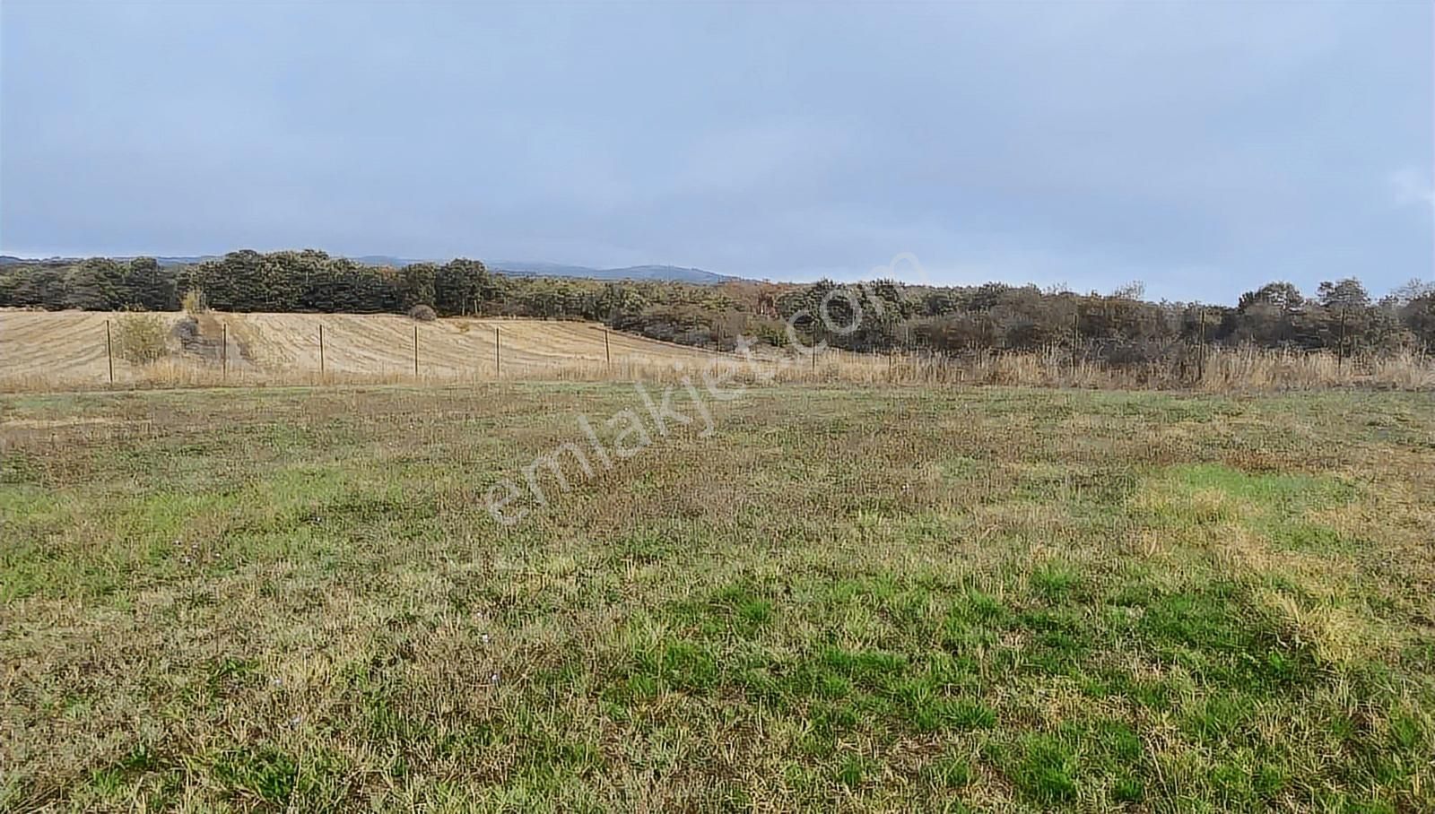 Satılık İki Katlı Çiftlik Evi, Ahırı Ve Arazisi - Görsel 25