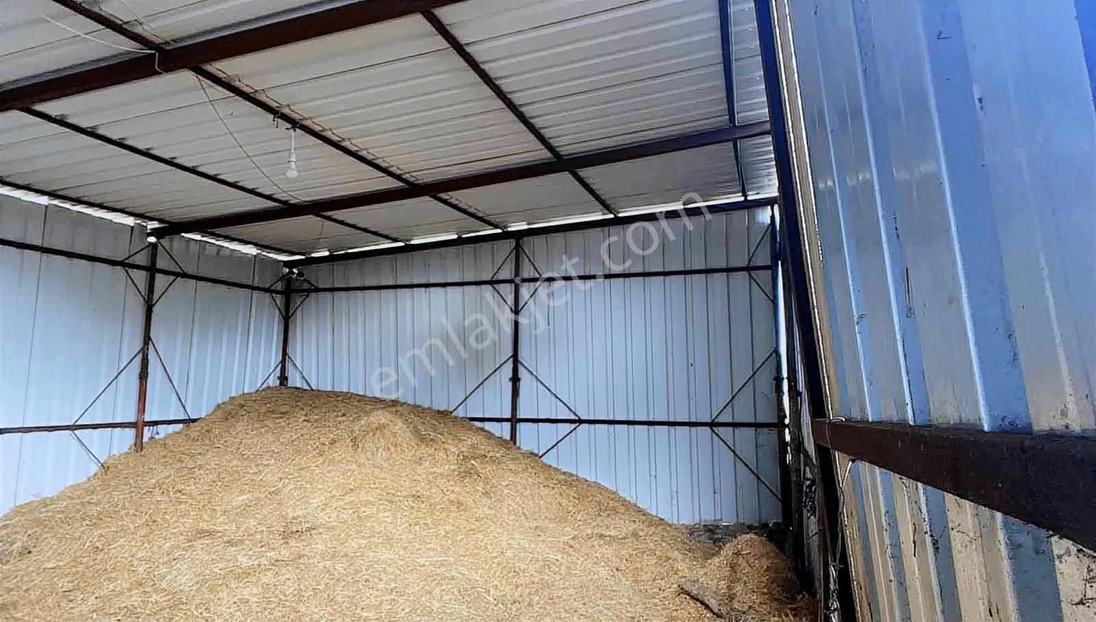 Satılık İki Katlı Çiftlik Evi, Ahırı Ve Arazisi - Görsel 32