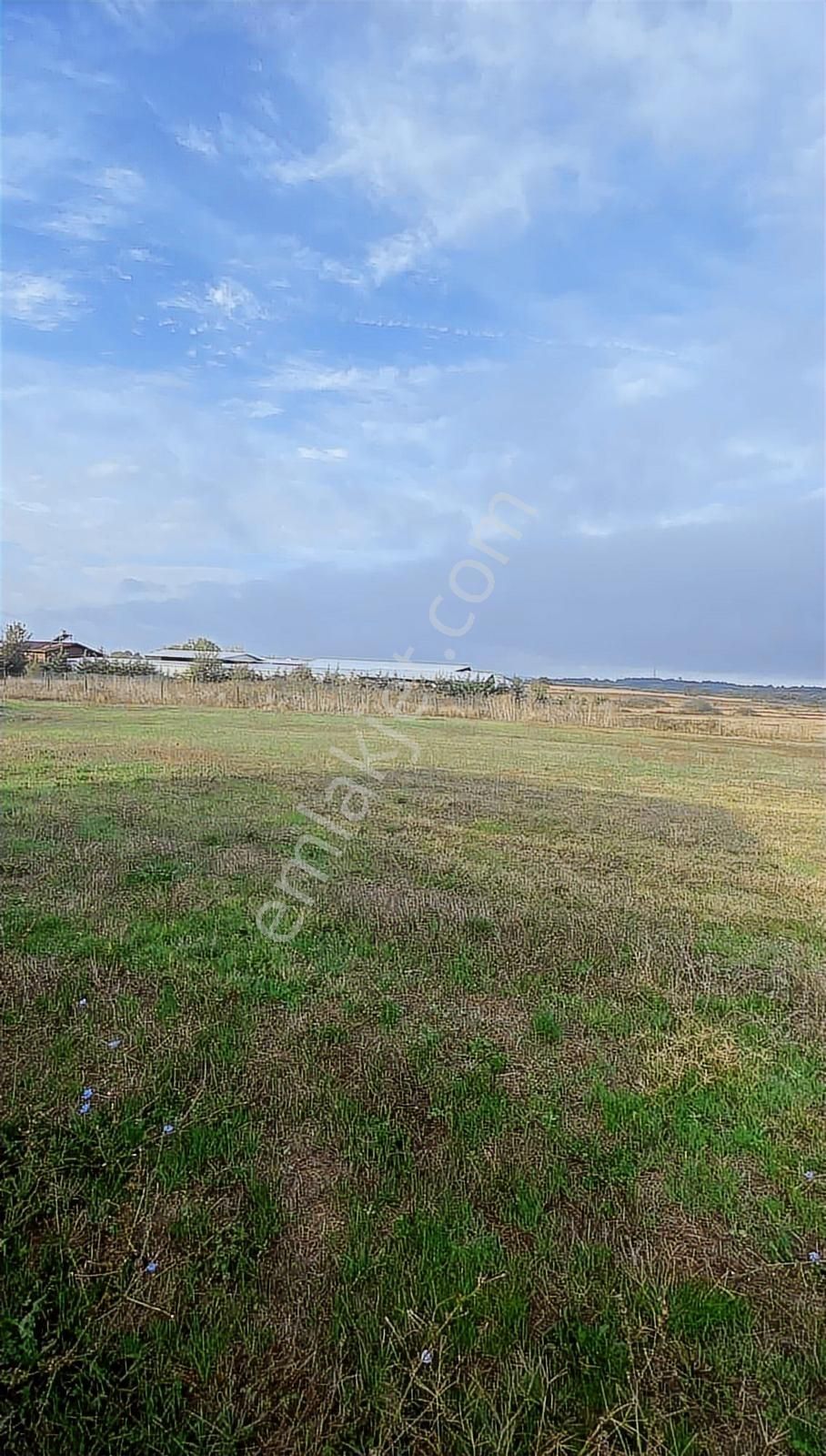 Satılık İki Katlı Çiftlik Evi, Ahırı Ve Arazisi - Görsel 34