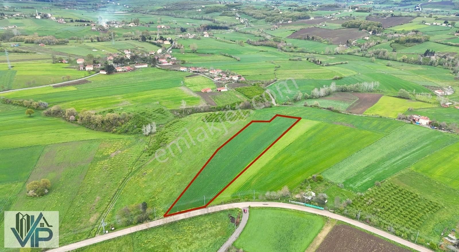 Bafra Vip Gayrimenkulden Lengerlide Satılık 15.282 M2 Tarla - Görsel 9